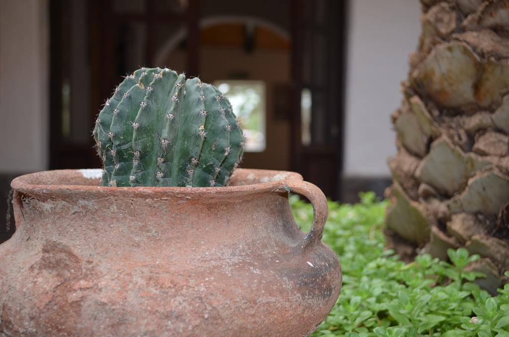 Finca El Carmen Angastaco エクステリア 写真